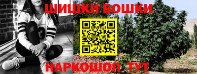 a pvp Кингисепп