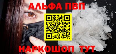 a pvp Кингисепп