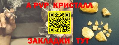 a pvp Кингисепп