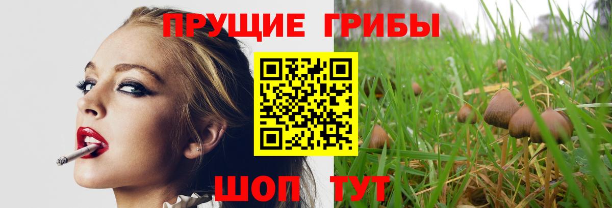 Псилоцибиновые грибы MAGIC MUSHROOMS Красноуфимск